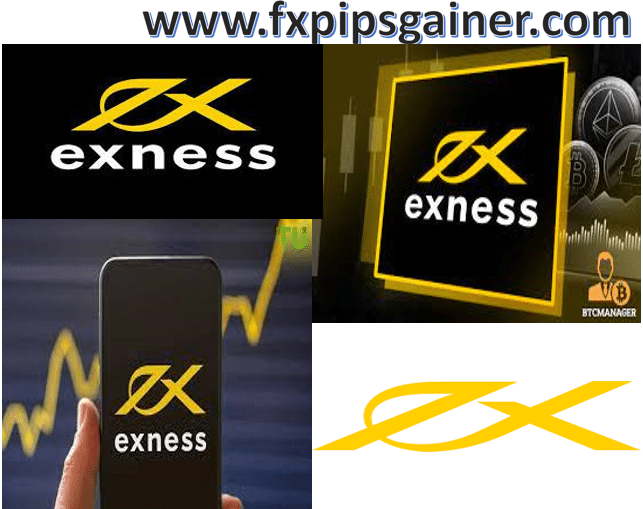 Maximizing Your Profits Online Trading with Exness