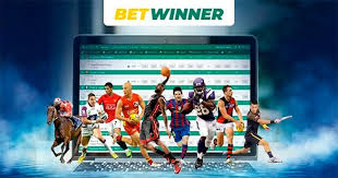 Everything You Need to Know About Betwinner