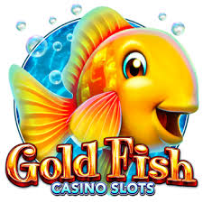 골드피쉬 카지노 — 안전한 즐거움과 전략으로 즐기는 온라인 게임 가이드 골드피쉬 카지노 — 안전한 즐거움과 전략으로 즐기는 온라인 게임 가이드